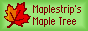 Maplestrip's Maple Tree